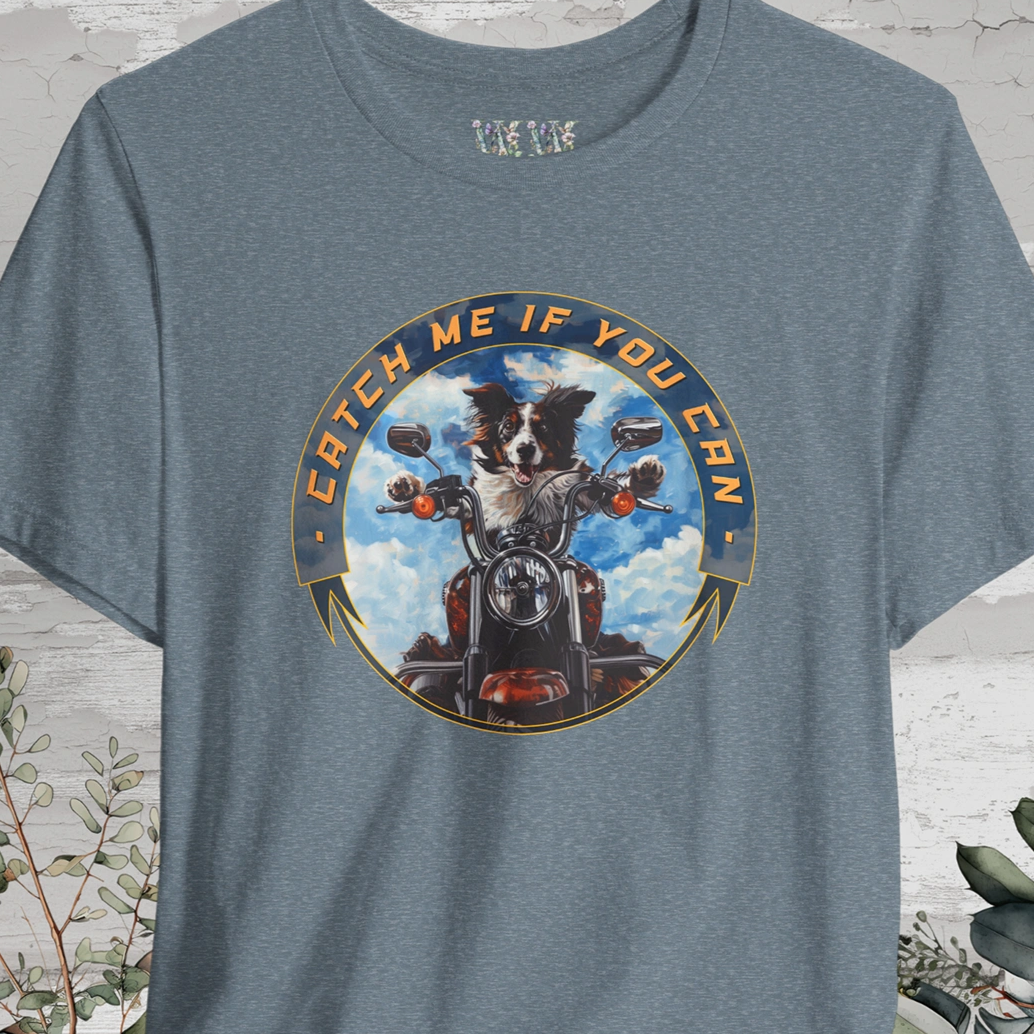 Border Collie 'Catch me if you can' T shirt