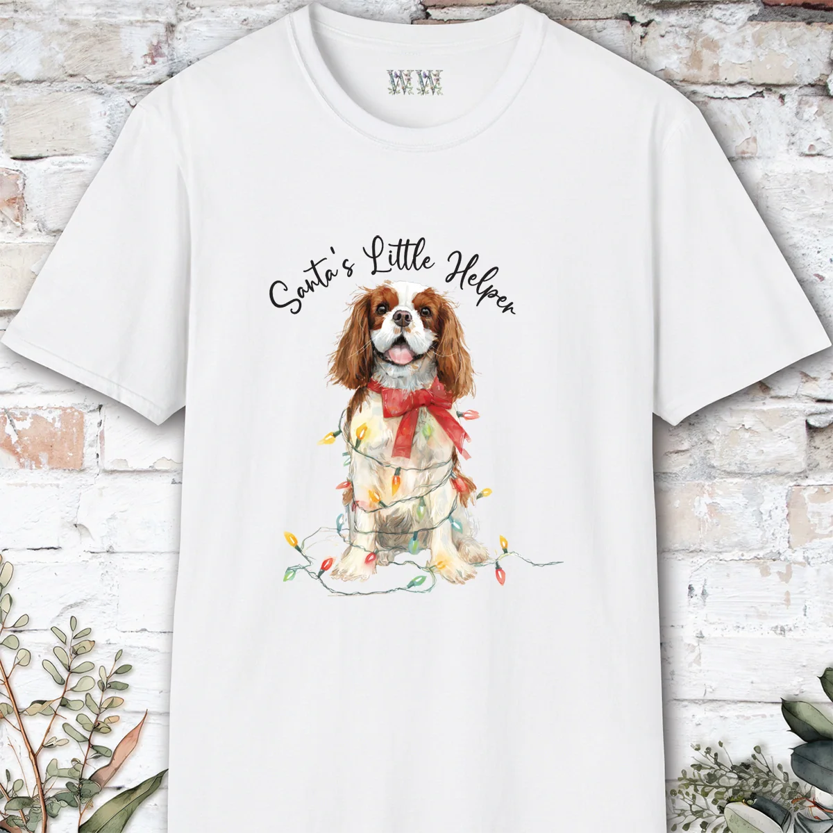 Cavalier King Charles Spaniel