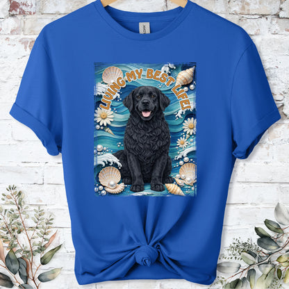 https://wescale-cdn.com/generated-mockups/bf472b68-5c1c-44c3-a409-4b955cabfa92/bd936303-a224-44f1-b3ae-9127d9130593/021bc0a6-aef7-411c-86f2-dd4212fcfbbe_9e549d77-3240-4286-b833-34439d7d312a.webp