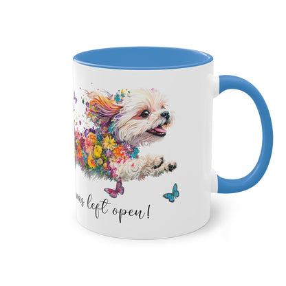 ANY DESIGN  EUROPE - Accent Mugs, 11oz