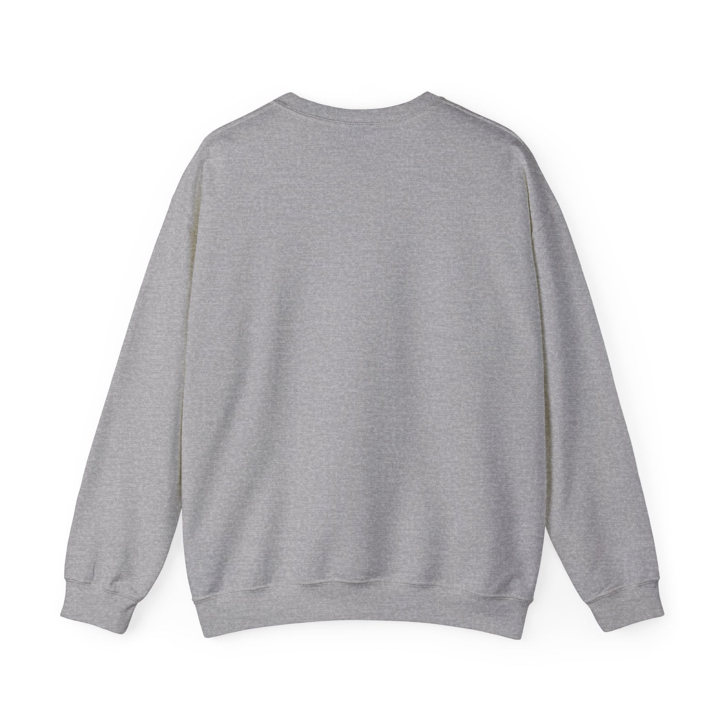 #12373 spirit adult sweatshirt