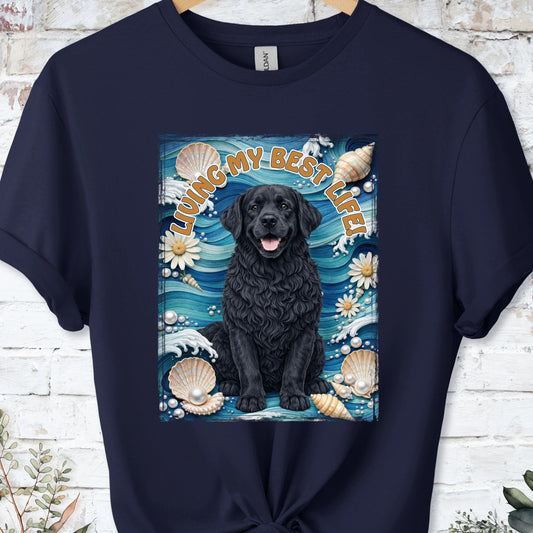 https://wescale-cdn.com/generated-mockups/bf472b68-5c1c-44c3-a409-4b955cabfa92/bd936303-a224-44f1-b3ae-9127d9130593/22cc76e3-17e0-4395-adb9-c8420191fd33_9e549d77-3240-4286-b833-34439d7d312a.webp