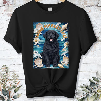 https://wescale-cdn.com/generated-mockups/bf472b68-5c1c-44c3-a409-4b955cabfa92/bd936303-a224-44f1-b3ae-9127d9130593/2b3d5fd9-474a-49a6-aded-627e1b7df575_9e549d77-3240-4286-b833-34439d7d312a.webp