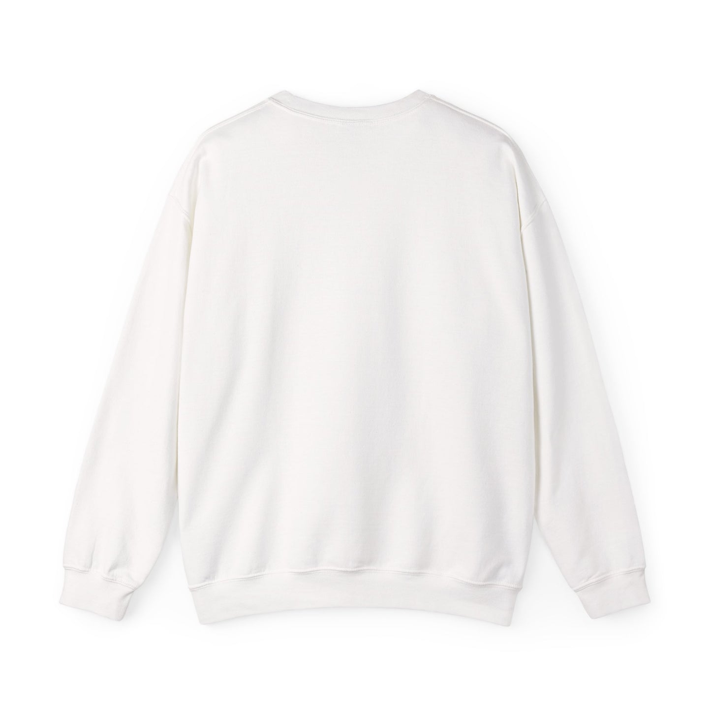 #12373 spirit adult sweatshirt