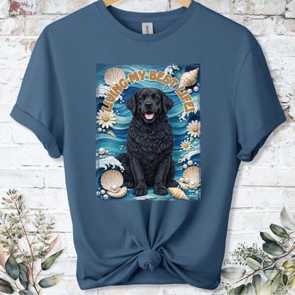 https://wescale-cdn.com/generated-mockups/bf472b68-5c1c-44c3-a409-4b955cabfa92/bd936303-a224-44f1-b3ae-9127d9130593/77895383-c7c9-4e8c-b0b2-39d8eff67918_9e549d77-3240-4286-b833-34439d7d312a.webp