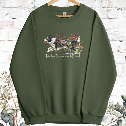 Border Collie #5 Live like the gate was left open, Sweatshirt