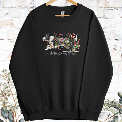 Border Collie #5 Live like the gate was left open, Sweatshirt