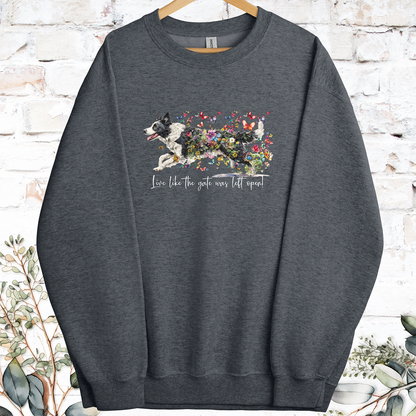 Border Collie #5 Live like the gate was left open, Sweatshirt