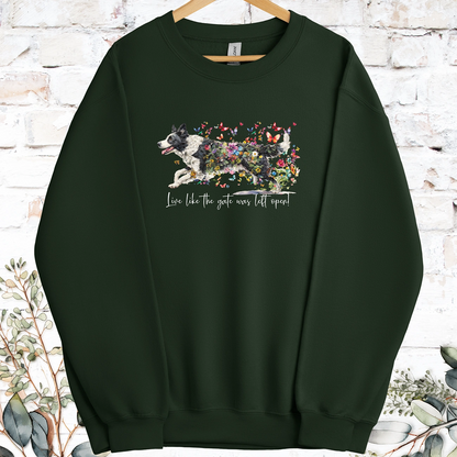 Border Collie #5 Live like the gate was left open, Sweatshirt