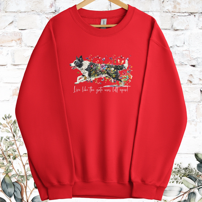 Border Collie #5 Live like the gate was left open, Sweatshirt