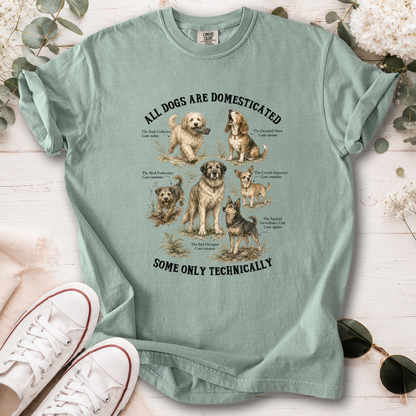 All Dogs are Domesticated, Unisex Comfort Colors T shirt