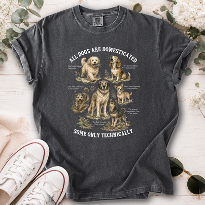 All Dogs are Domesticated, Unisex Comfort Colors T shirt