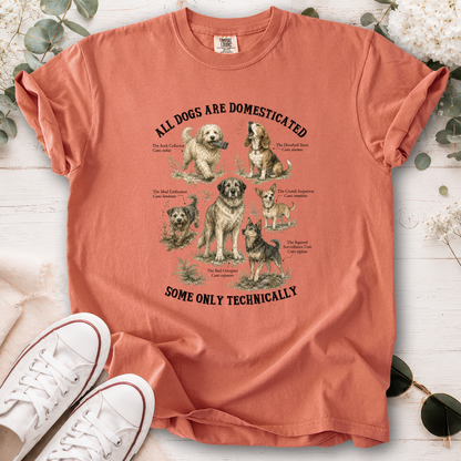All Dogs are Domesticated, Unisex Comfort Colors T shirt