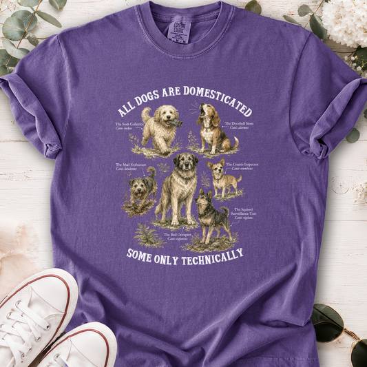 All Dogs are Domesticated, Unisex Comfort Colors T shirt
