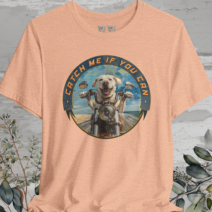 Labrador 'Catch me if you can' T shirt