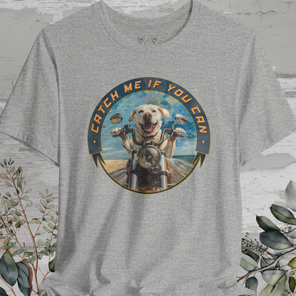 Labrador 'Catch me if you can' T shirt