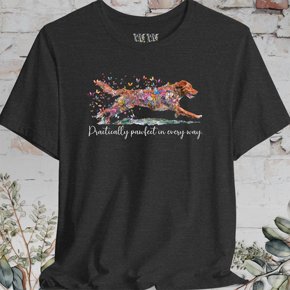 Nova Scotia Duck Tolling Retriever - Practically Pawfect in every way. T shirt