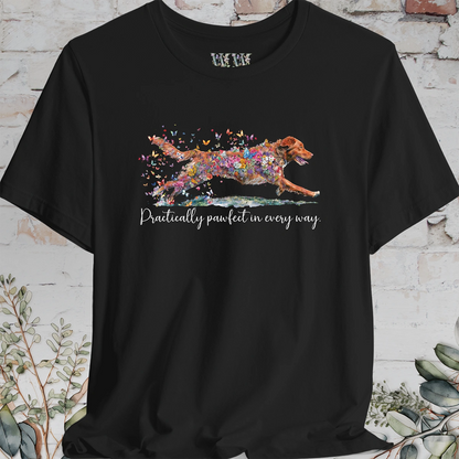 Nova Scotia Duck Tolling Retriever - Practically Pawfect in every way. T shirt