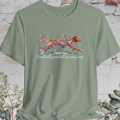 Nova Scotia Duck Tolling Retriever - Practically Pawfect in every way. T shirt