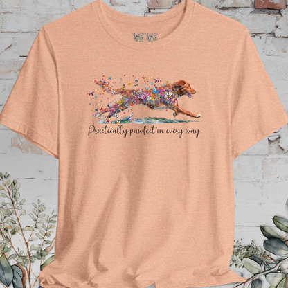 Nova Scotia Duck Tolling Retriever - Practically Pawfect in every way. T shirt