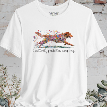 Nova Scotia Duck Tolling Retriever - Practically Pawfect in every way. T shirt