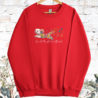 Shih Tzu #1 Live like the gate was left open, Sweatshirt