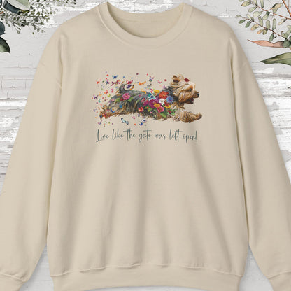Silky Terrier, "Live like the gate was left open" Sweatshirt