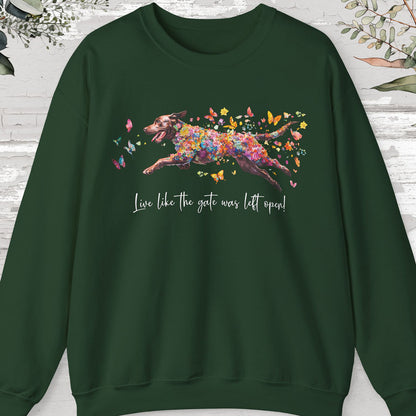 Chocolate Labrador Personalised Sweatshirt