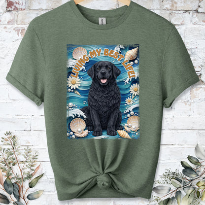 https://wescale-cdn.com/generated-mockups/bf472b68-5c1c-44c3-a409-4b955cabfa92/bd936303-a224-44f1-b3ae-9127d9130593/dd5a18b7-5465-4b3d-a7d4-2a9b383e03f2_9e549d77-3240-4286-b833-34439d7d312a.webp
