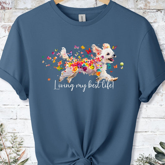 https://wescale-cdn.com/generated-mockups/bf472b68-5c1c-44c3-a409-4b955cabfa92/14af04b8-bcd6-47af-a9bd-fead3b07228c/e8cddad5-8086-40a2-8d45-339b8f9eaaa2_21b42d2b-a5e1-4f9c-b63a-73e226a8c807.webp