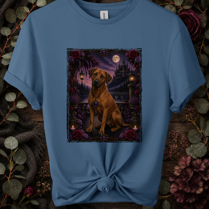 Indigo Blue